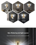 Eagle Projection Night Light